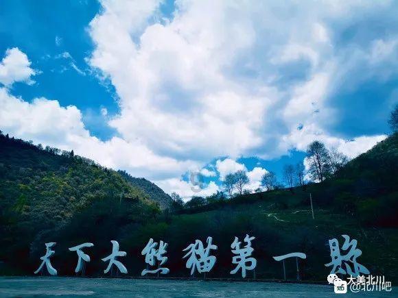 中国流量计排名,国产流量计品牌有哪些?_诚睿自动化